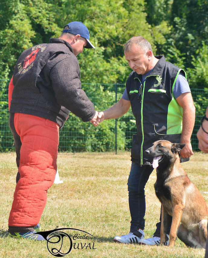 Denis Barrat et son malinois pendant un entraînement de Ring