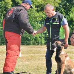 Denis Barrat et son malinois lors d’un entraînement de Ring